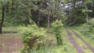 長野県菅平高原 ゆたか山荘 坂上 2026/06/27 09:15