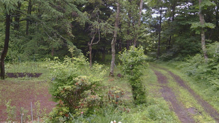 長野県菅平高原 ゆたか山荘 坂上 2026/06/27 09:30