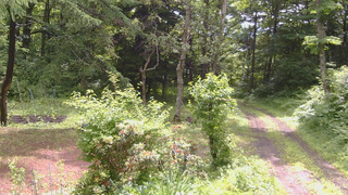 長野県菅平高原 ゆたか山荘 坂上 2026/06/27 09:45