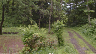 長野県菅平高原 ゆたか山荘 坂上 2026/06/27 10:00