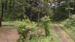 長野県菅平高原 ゆたか山荘 坂上 2026/06/27 10:45