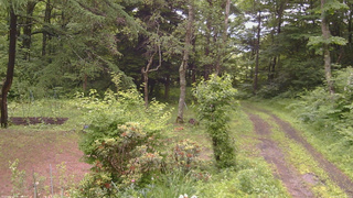 長野県菅平高原 ゆたか山荘 坂上 2026/06/27 11:00