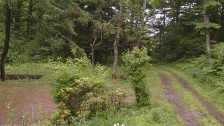 長野県菅平高原 ゆたか山荘 坂上 2026/06/27 11:15