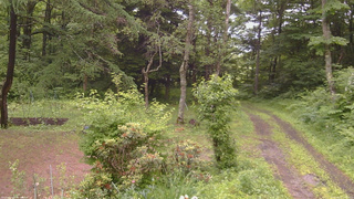 長野県菅平高原 ゆたか山荘 坂上 2026/06/27 11:30