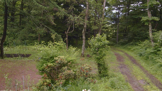 長野県菅平高原 ゆたか山荘 坂上 2026/06/27 11:45