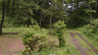 長野県菅平高原 ゆたか山荘 坂上 2026/06/27 12:00