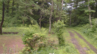 長野県菅平高原 ゆたか山荘 坂上 2026/06/27 12:15