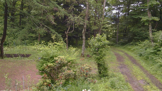 長野県菅平高原 ゆたか山荘 坂上 2026/06/27 12:30