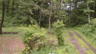 長野県菅平高原 ゆたか山荘 坂上 2026/06/27 12:45