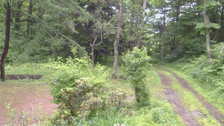 長野県菅平高原 ゆたか山荘 坂上 2026/06/27 13:00