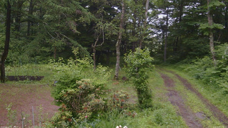 長野県菅平高原 ゆたか山荘 坂上 2026/06/27 13:45