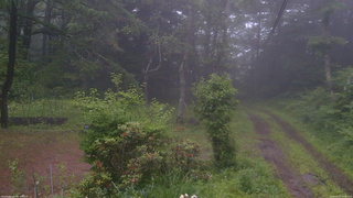 長野県菅平高原 ゆたか山荘 坂上 2026/06/27 14:00