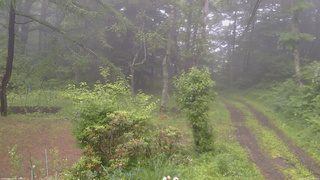長野県菅平高原 ゆたか山荘 坂上 2026/06/27 14:45