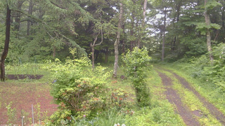 長野県菅平高原 ゆたか山荘 坂上 2026/06/27 15:15
