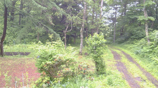 長野県菅平高原 ゆたか山荘 坂上 2026/06/27 15:30
