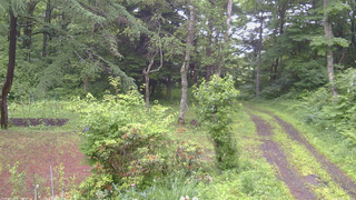 長野県菅平高原 ゆたか山荘 坂上 2026/06/27 15:45
