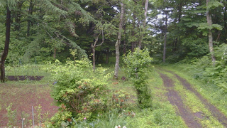 長野県菅平高原 ゆたか山荘 坂上 2026/06/27 16:00