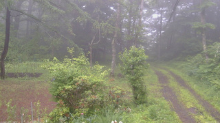長野県菅平高原 ゆたか山荘 坂上 2026/06/27 16:30