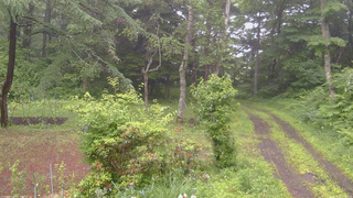 長野県菅平高原 ゆたか山荘 坂上 2026/06/27 16:45