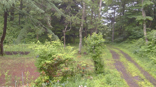 長野県菅平高原 ゆたか山荘 坂上 2026/06/27 17:00