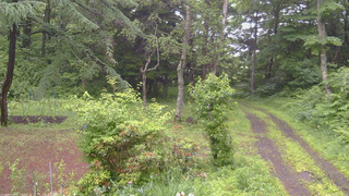 長野県菅平高原 ゆたか山荘 坂上 2026/06/27 17:15