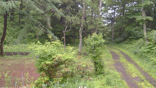 長野県菅平高原 ゆたか山荘 坂上 2026/06/27 17:30
