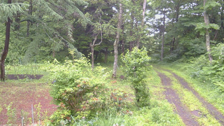 長野県菅平高原 ゆたか山荘 坂上 2026/06/27 17:45