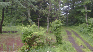 長野県菅平高原 ゆたか山荘 坂上 2026/06/27 18:45