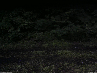 長野県菅平高原 ゆたか山荘 東側(坂下) 2026/06/28 19:15