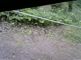 長野県菅平高原 ゆたか山荘 駐車場 2026/06/28 11:30