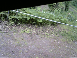 長野県菅平高原 ゆたか山荘 駐車場 2026/06/28 12:30