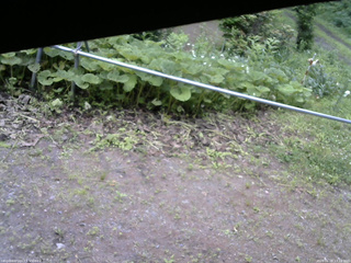 長野県菅平高原 ゆたか山荘 駐車場 2026/06/28 13:15