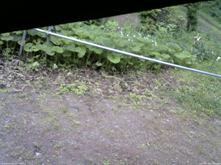 長野県菅平高原 ゆたか山荘 駐車場 2026/06/28 14:30