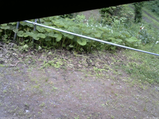 長野県菅平高原 ゆたか山荘 駐車場 2026/06/28 15:00