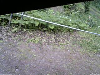 長野県菅平高原 ゆたか山荘 駐車場 2026/06/28 15:45