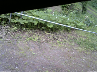 長野県菅平高原 ゆたか山荘 駐車場 2026/06/28 16:00