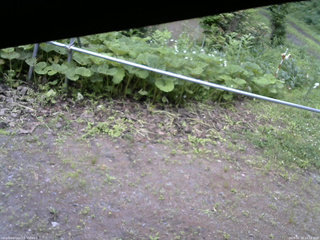 長野県菅平高原 ゆたか山荘 駐車場 2026/06/28 16:15
