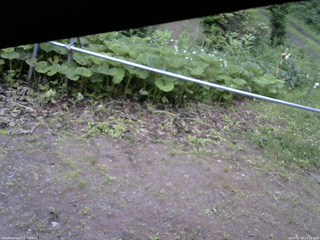 長野県菅平高原 ゆたか山荘 駐車場 2026/06/28 17:15