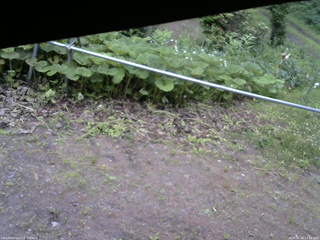 長野県菅平高原 ゆたか山荘 駐車場 2026/06/28 17:45