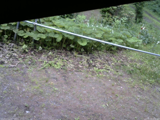 長野県菅平高原 ゆたか山荘 駐車場 2026/06/28 18:15