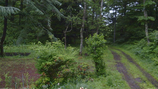 長野県菅平高原 ゆたか山荘 坂上 2026/06/28 05:00