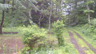 長野県菅平高原 ゆたか山荘 坂上 2026/06/28 05:15