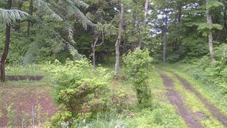 長野県菅平高原 ゆたか山荘 坂上 2026/06/28 05:30