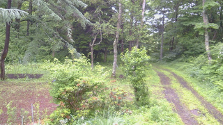 長野県菅平高原 ゆたか山荘 坂上 2026/06/28 06:30