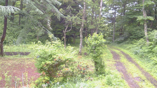 長野県菅平高原 ゆたか山荘 坂上 2026/06/28 06:45