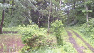 長野県菅平高原 ゆたか山荘 坂上 2026/06/28 07:00