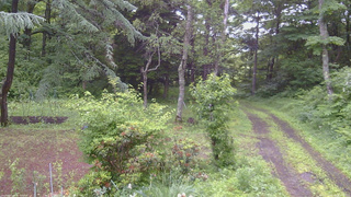 長野県菅平高原 ゆたか山荘 坂上 2026/06/28 07:15
