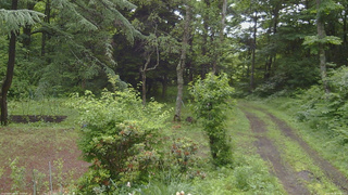 長野県菅平高原 ゆたか山荘 坂上 2026/06/28 07:45