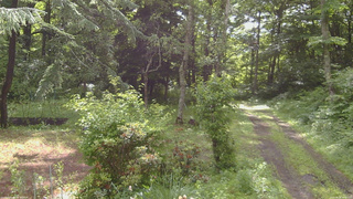 長野県菅平高原 ゆたか山荘 坂上 2026/06/28 08:00