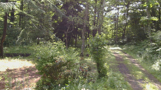 長野県菅平高原 ゆたか山荘 坂上 2026/06/28 08:15